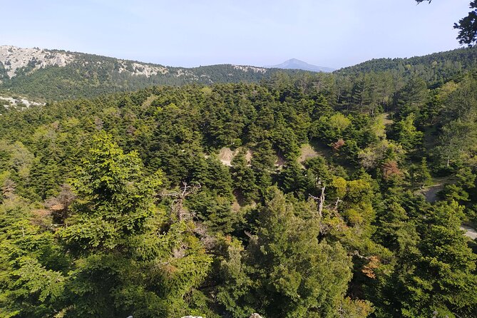 1 Day Parnitha Athens Private Hiking Tour with Hotel Pickup - Leaving Athens for Parnitha’s fir forest