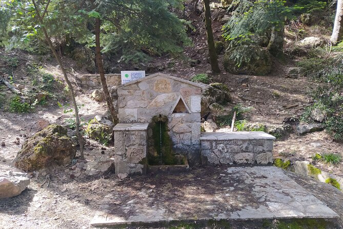 1 Day Parnitha Athens Private Hiking Tour with Hotel Pickup - A flexible route for different fitness levels