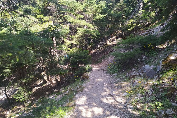 1 Day Parnitha Athens Private Hiking Tour with Hotel Pickup - Is $180.23 per person good value?