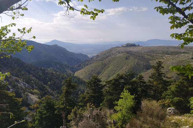 1 Day Parnitha Athens Private Hiking Tour with Hotel Pickup - Pause beneath the trees before the main ascent