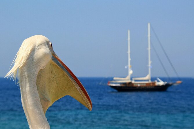 2-day Tour from Athens to Santorini and Mykonos - Six hours on the Aegean to Santorini