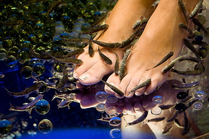 90-Minute Aroma Oil Massage plus 20' min Free Fish Pedi - Warm water and the complimentary fish pedicure