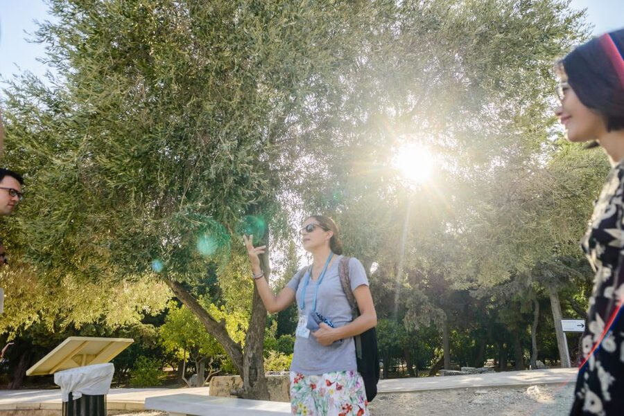 Acropolis: Acropolis and Parthenon Guided Walking Tour - Walking from drama to the Parthenon