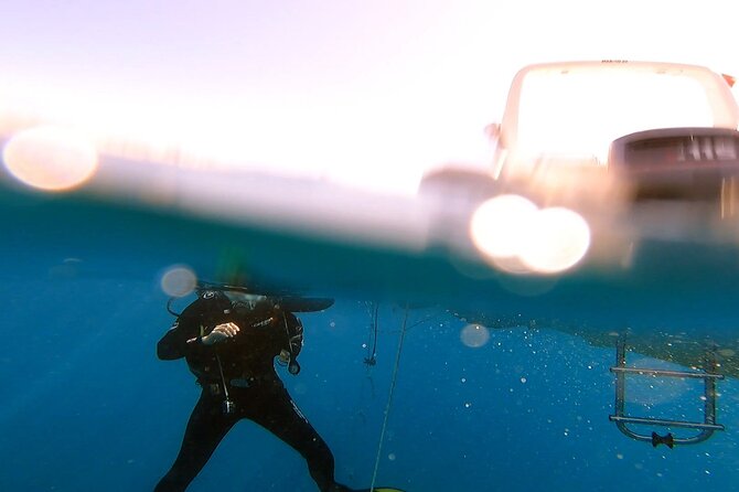 Adventure Dives for Certified Divers in Nea Makri, Athens - Is $66.01 a good value?
