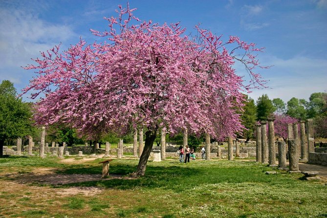 Ancient Olympia/ Ancient Corinth private tour from Athens/ Nafplio (up 12 hours) - Walking through Ancient Olympia
