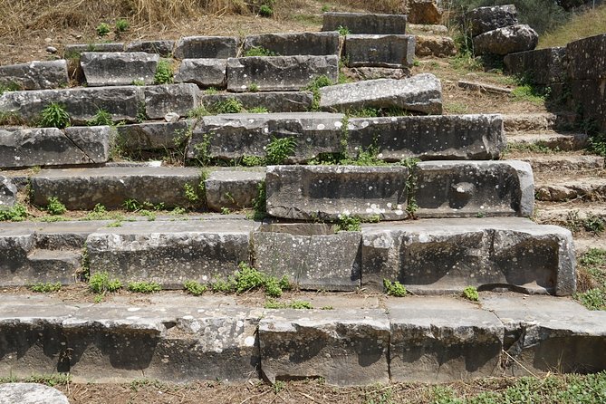 Ancient Sparta & Mystras Private Day Tour from Athens - A private car changes the long distance