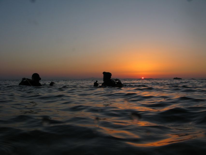 Athens: Adventure Dives in Nea Makri for Certified Divers - The surface break and what is included
