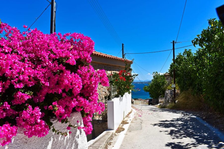 Athens: Agistri, Metopi & Aegina Cruise with Meals & Drinks - Sailing across the Saronic Gulf