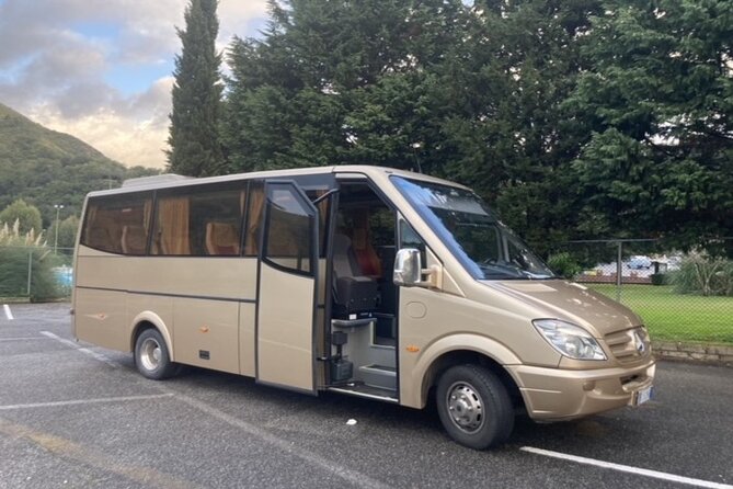 Athens Airport (ATH) Private Transfer to Athens Hotels/Piraeus - Booking details, changes, and cancellation