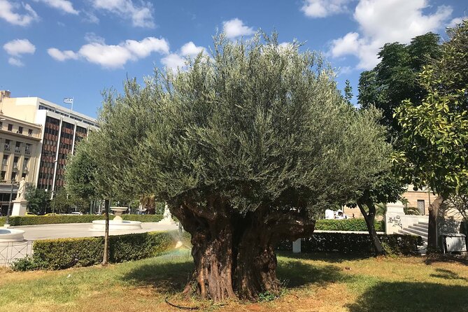 Athens by E-Bike: Monuments, Food & Transfers (Cruise Tour) - The Presidential Mansion and the Changing of the Guards