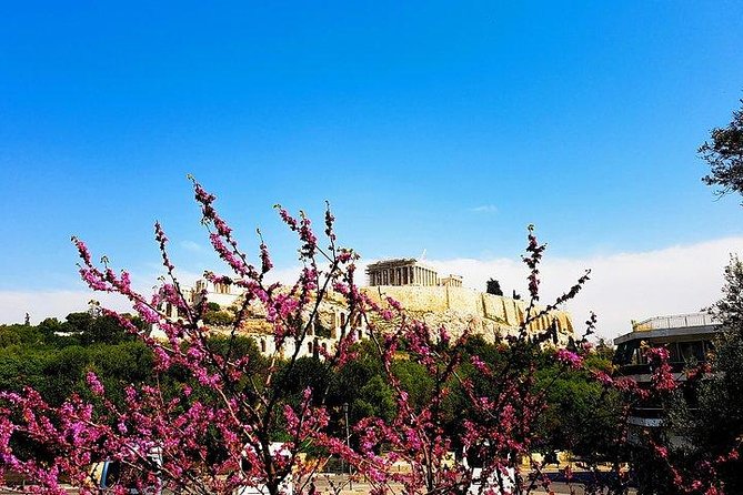 Athens city private tour - Lunch, photos, and helpful local touches
