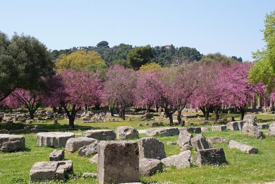 Athens: Corinth Canal and Ancient Olympia Private Trip - Who will enjoy this Olympia day trip most?