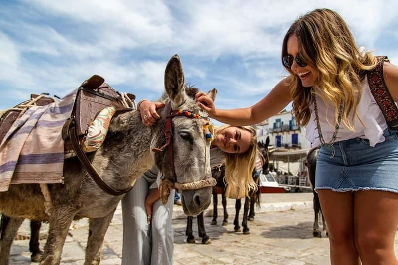Athens Day Cruise – Since 1965 | Visit Hydra, Poros & Aegina - Quick points before you book