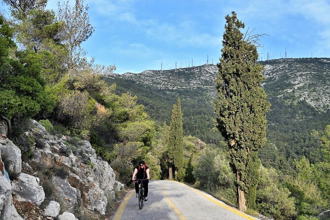 Athens E-Bike Guided Tour on Hymettus Mountain - From Veikou 131 into the heart of Athens