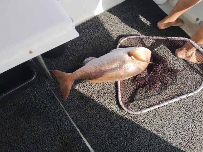 Athens: Fishing Trip Experience on a Boat with Seafood Meal - The boat, equipment, and safety setup