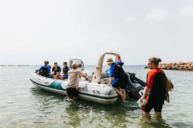 Athens: Marathon Cape and Bay of Schinias Snorkeling Trip - The practical verdict