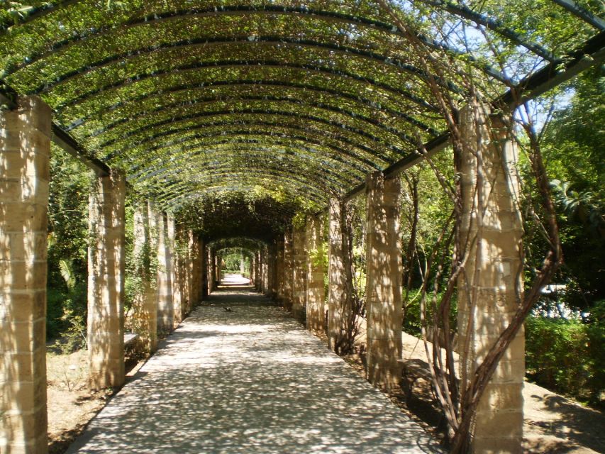 Athens: National Garden 2-Hour Segway Tour - Key points at a glance