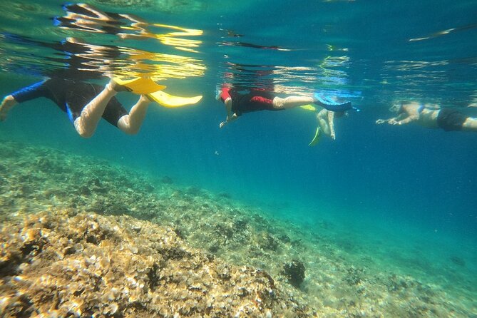 Athens, Nea Makri: Guided Small Group Snorkeling Boat Excursion - How difficult is the snorkeling?