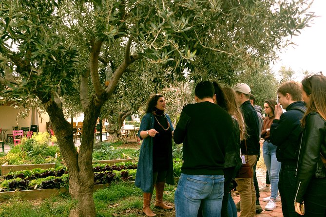 ATHENS OLIVE ESTATE - Olive Oil Workshop with Farm-to-Fork Lunch - How to taste the three extra-virgin oils