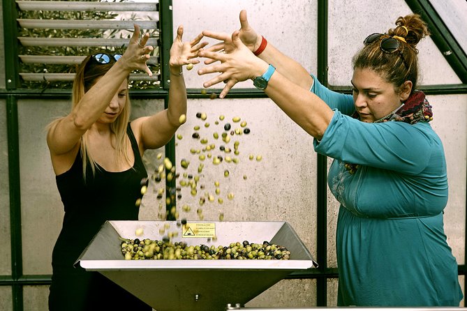 ATHENS OLIVE ESTATE - Olive Oil Workshop with Farm-to-Fork Lunch - A three-course lunch beside the sea