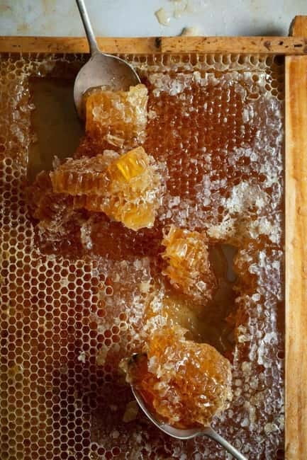 Athens: Premium Greek Honey Tasting - From the spoon to cream cheese and sesame bread