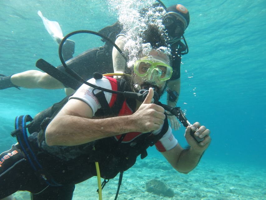 Athens: Private Discover Scuba Diving for Beginners - The marine life you may see