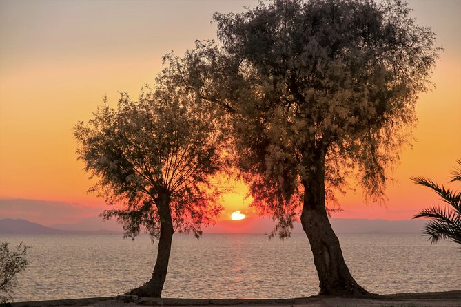 Athens Riviera: Poseidon Temple, Springs & Lake Vouliagmeni Tour - George’s role and the feel of a small group