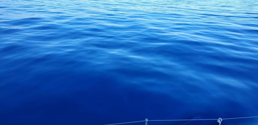 Athens Riviera Private Catamaran Cruise with Meal and Drinks - The final 50 minutes back to Pier 7