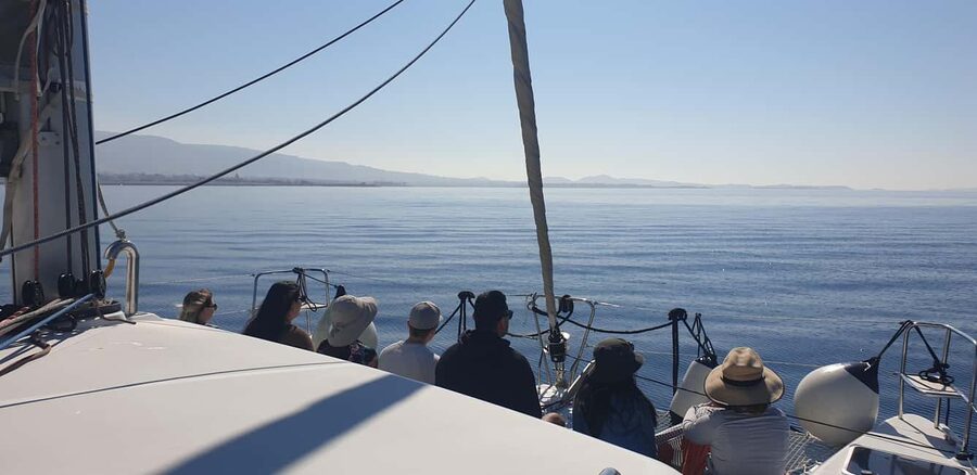 Athens Riviera Private Catamaran Cruise with Meal and Drinks - What the $2,061 private price really means