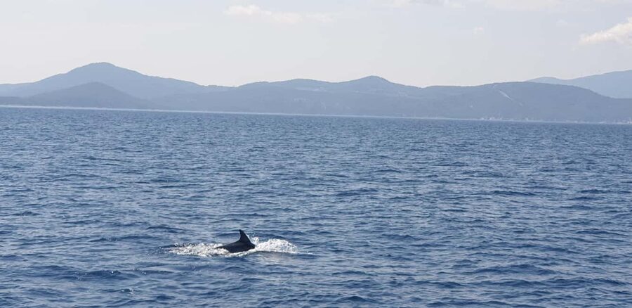 Athens Riviera Private Catamaran Cruise with Meal and Drinks - Leaving Alimos Marina and the city behind