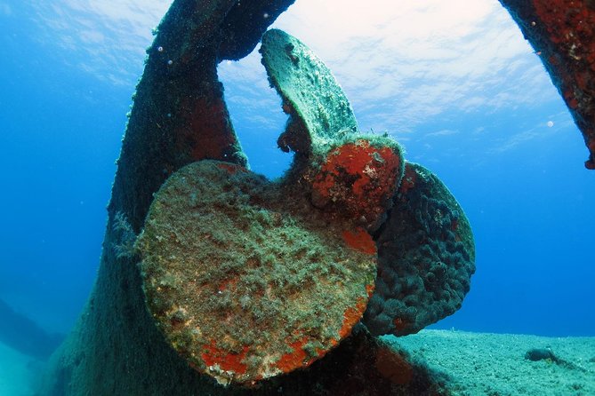 Athens Scuba Diving Experience for Certified Divers with Pickup - Getting into the water with heavy gear