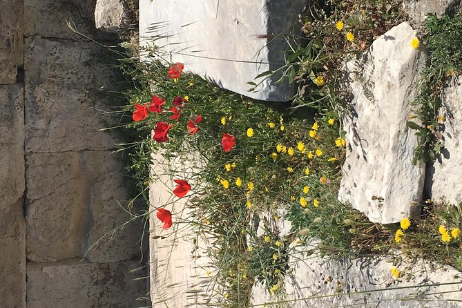 Athens Shore Excursion: Private City Sightseeing and Acropolis Tour - Passing the Academy and Hadrian’s Gate