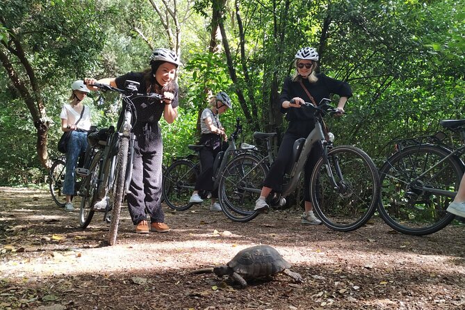 Athens Small Group Electric Bike Tour - What the small group changes