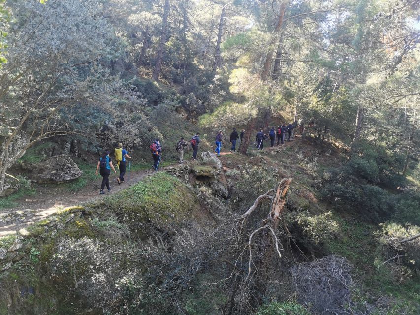 Athens Sunset Hike - Who Will Enjoy This Hymettus Walk?
