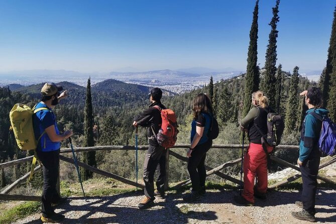 Athens Sunset Hymettus Mountain Hike - Group size, pace, and the family factor