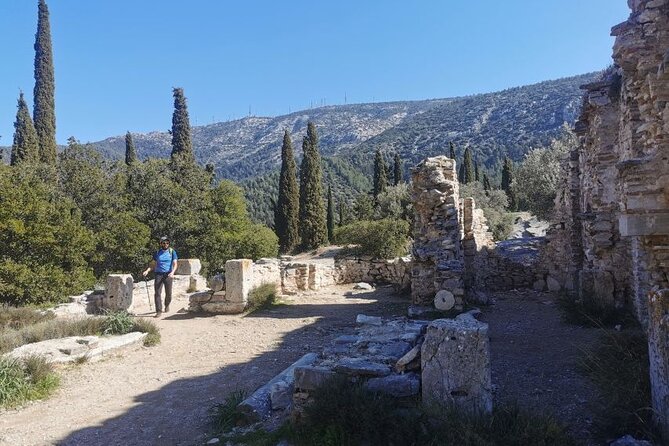 Athens Sunset Hymettus Mountain Hike - Walking the pine paths with a guide