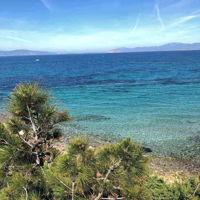 Athens to Aegina: Greek Island Escape & Swim Day Trip - The guides and the pace of the day