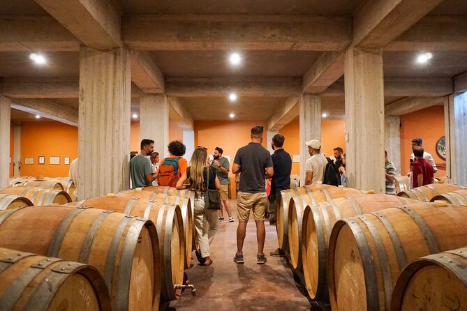 Athens to Nemea Wine Experience Tour - The first cellar in Koutsi