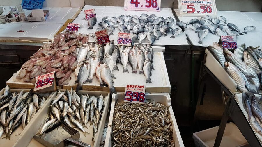 Athens: Traditional Greek food tour in hidden spots - The drawbacks to keep in mind