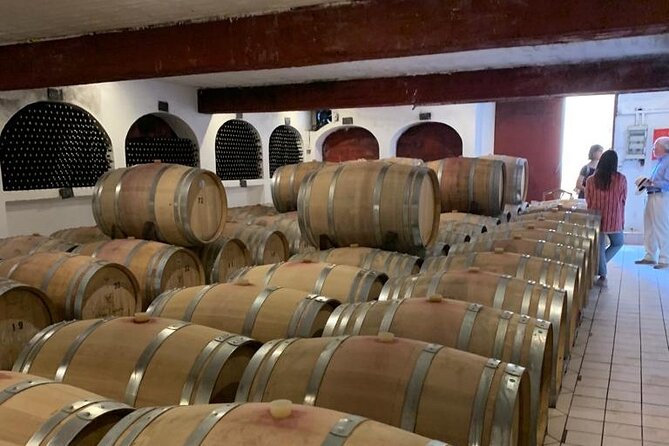 Athens Wine Tour - An Outstanding Full Day Experience For Dedicated Winelovers - First winery: cellar, vineyard, and four or five wines