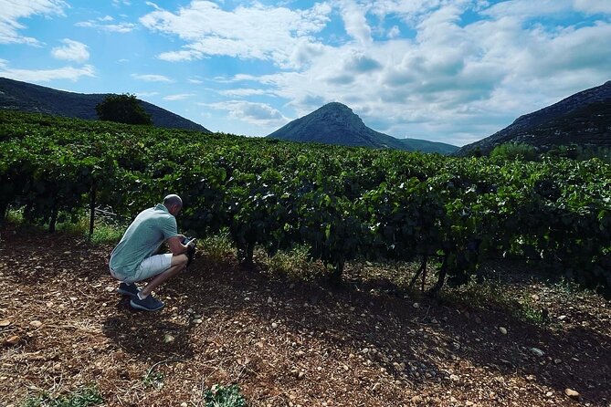 Athens Wine Tour with Wine Expert - Why Attica works for a wine day from Athens