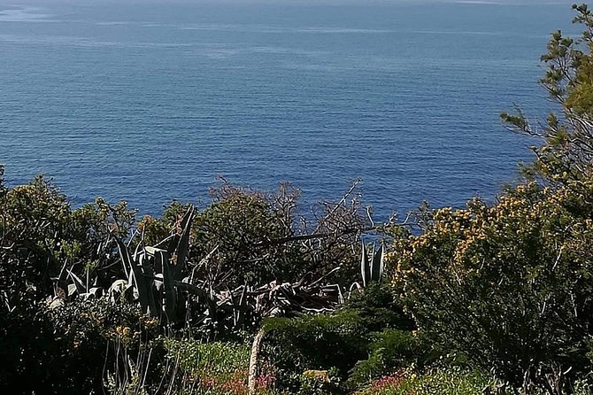 Cape Sounio and Temple of Poseidon Half Day Private Tour - What the $279.26 price really buys