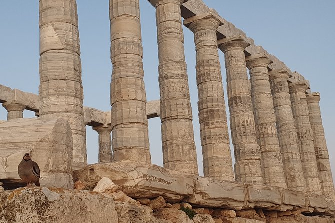 Cape Sounio and Temple of Poseidon Private Trip from Athens - The driver makes a bigger difference on a private trip
