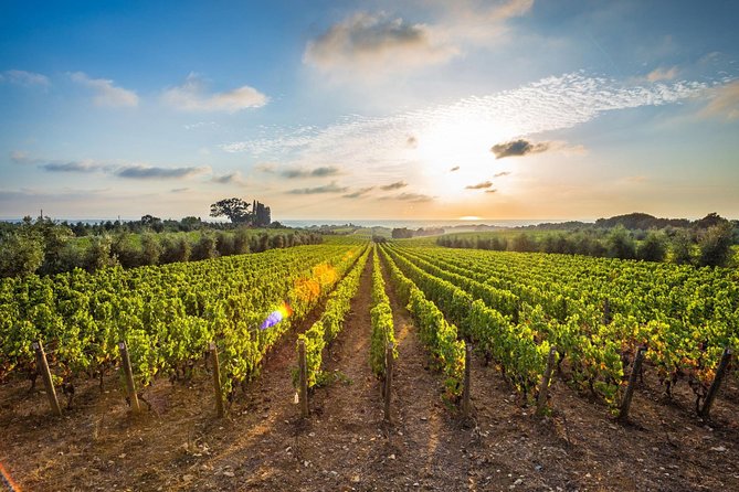 Corinth and Nemea Wine-tasting full day tour from Athens - Timing, comfort, and the practical side of the day