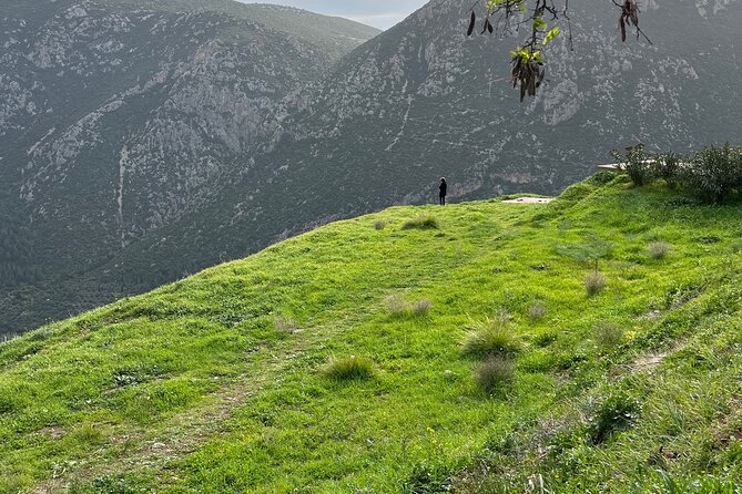 Delphi and Osios Loukas Byzantine Monastery - Why this Athens day trip works