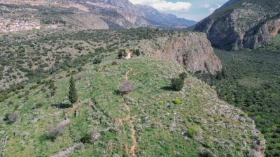 Easy Hike on Ancient Path through the Olive Groves