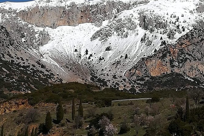 Delphi Full Day Private Tour: Temple of Apollo, Museum, Navel of Earth & Oracle - Apollo’s Temple and the Oracle