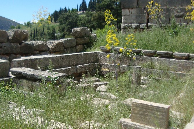 Delphi Self-guided Audio Tour on Your Phone (no ticket) - Tickets, hours, and physical effort
