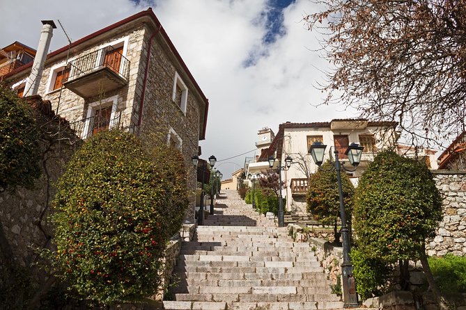 Delphi Tour (Full Day) - Arachova for one hour after the ruins