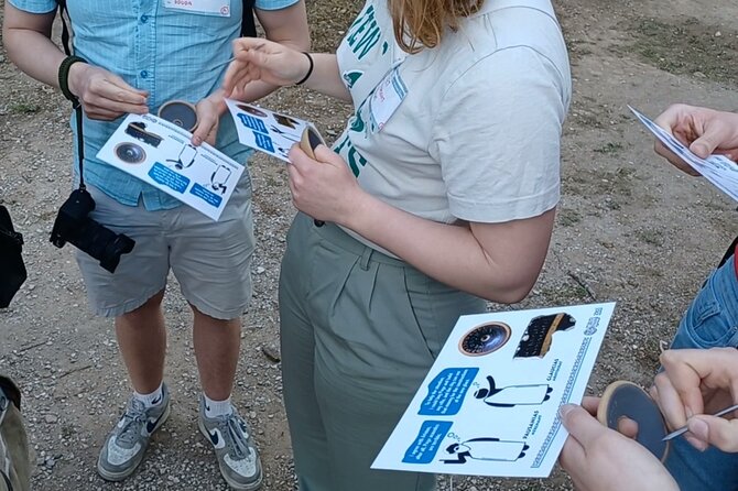 Democracy Experiential Workshop Activity on Pnyx hill, Athens - Taking part in an ancient Assembly